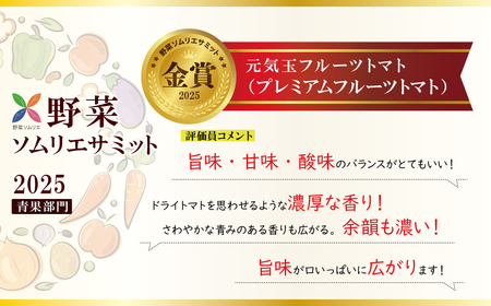 【2026年度予約分】【お試し】期間限定！プレミアムフルーツトマト H004-194