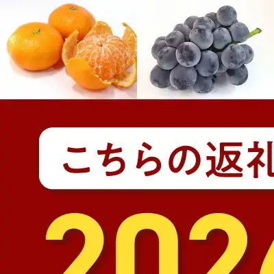 ZE6345n_【2026年先行予約】和歌山 湯浅町産 田村みかん 5kg【2L】