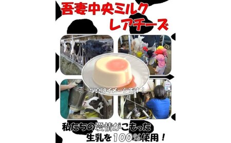 吾妻中央ミルク　レアチーズ 6個セット お菓子 チーズケーキ 
