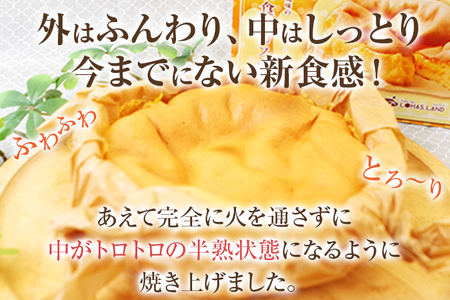 半熟カステラプレーン 3個 200g×3個 合計600g カステラ スイーツ お菓子 冷凍 福岡県産 国産 送料無料