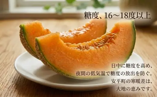 ＜2026年発送＞おいわけメロンパック 糖度16度以上 2.0kg以上×2玉(数量限定) メロン おいわけメロン 赤肉メロン 糖度 スイーツ デザート 果物 国産 北海道 安平町