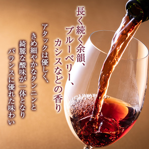 ワイン ソラリス 千曲川 カベルネ・ソーヴィニヨン 赤ワイン 辛口 お酒 酒 アルコール