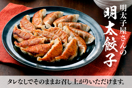 ZG142.明太餃子（１４個入り）×2セット