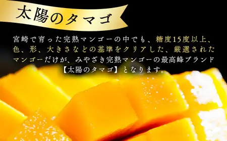 宮崎県串間市産 完熟マンゴー 太陽のタマゴ 特大(5L×1個) 化粧箱入り_K008-025