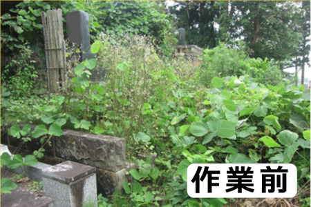 お墓参り・お掃除代行ベーシックプラン