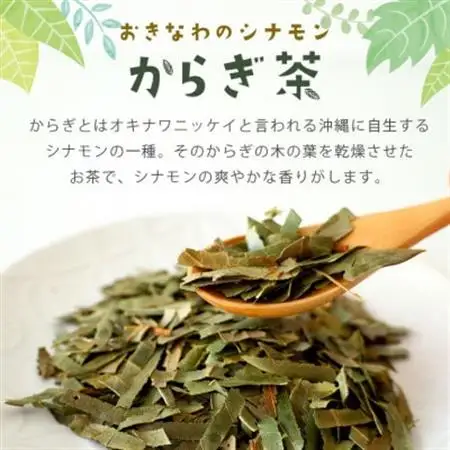 すっきり爽やか!沖縄のシナモンティー「からぎ茶」ティーパック(6P×5箱)【1577599】