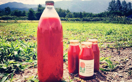 北海道仁木町産 ミニトマト100％ジュース 1000ml×2本 栽培期間中 除草剤・化学農薬・化学肥料不使用 野菜ジュース 果汁飲料 野菜飲料 野菜 [iori farm hokkaido]