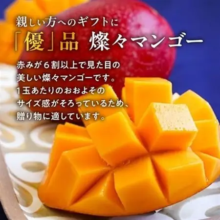 【2026年7月から順次発送・優品】燦々マンゴー1.5kg(3～6玉)_マンゴー_【1619778】
