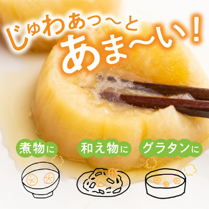 《先行予約》寒干し大根  100g×1袋 大根 保存食 [Q466_u]