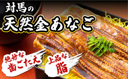 対馬産 活〆 穴子 ３点 セット E 新鮮 あなご 刺身 天ぷら 海鮮 6人前  [WAS005]