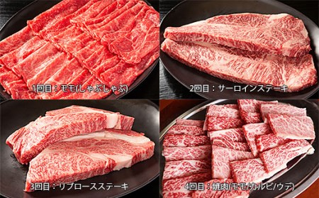 【定期便12回】ブランド和牛を堪能！！山形牛毎月お届け定期便 FY20-776