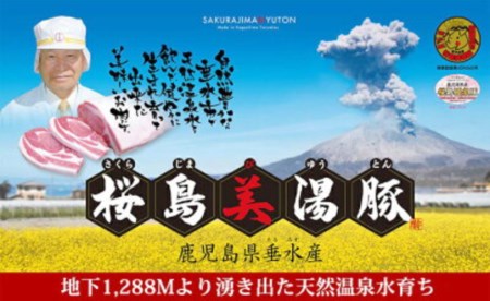 A1-30134／桜島美湯豚 - 肩ロース ねぎ塩焼　220g×5パック