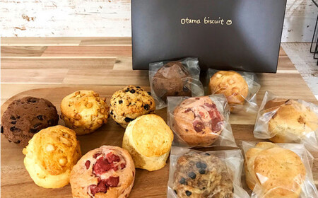 定番ビスケット6種類詰合せ（12個入り）オタマビスケット