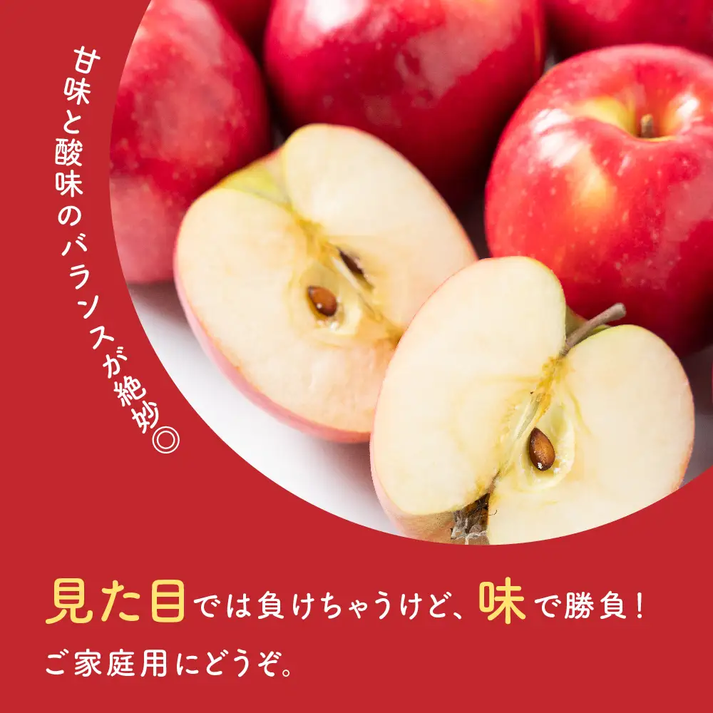 りんご 令和8年産 訳あり りんご サンふじ 約10kg