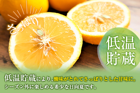 先行予約 訳あり 宮浦産 蔵出し 日向夏 計3kg以上_BC131-25