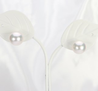 565　Pt900　あこや本真珠　8.0mmup　K18・アレルギー対応チタンピアス　SVイヤリングに変更可能