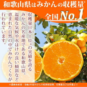 G7052_【2026年11月下旬より発送】高級ブランド 田村みかん 10kg 大玉サイズ