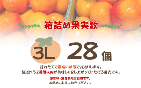 柿 採れたてタネなし柿“3L”サイズ約7.5kg【2026年10月中旬～10月下旬頃発送予定】【ART19】【G018-art021A】