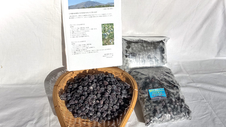 【数量限定】 冷凍ブルーベリー1kg [AD002tu]