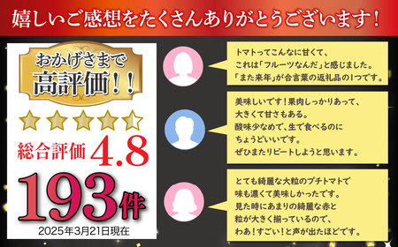 6-182 フルーツトマト「トマ糖＊太陽のめぐみ」フルティカ２kg ALPBI004 | トマト 高糖度 トマト フルーツトマト おすすめ トマト 産地直送 新鮮 フレッシュ 高栄養素 南アルプス市 山梨 |