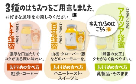 飛騨産 生蜂蜜 百花蜜 300g ギフト 蜂蜜 [Q1195wx]