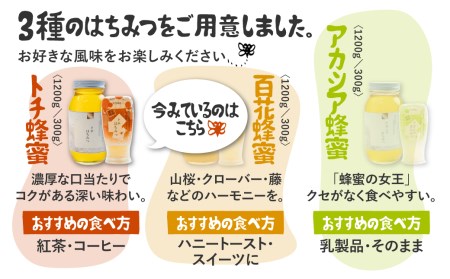 飛騨産 生蜂蜜 トチ蜜 300g 国産無添加 とち蜜 はちみつ ギフト ハニー 非加熱[Q1197wx]