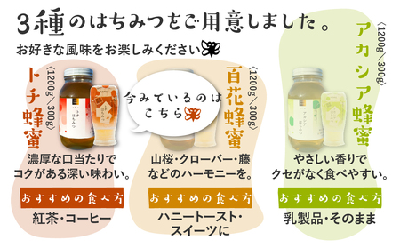 飛騨産 生蜂蜜 トチ蜜 1200g 国産無添加 とち蜜 はちみつ ギフト ハニー 非加熱[Q1198x]