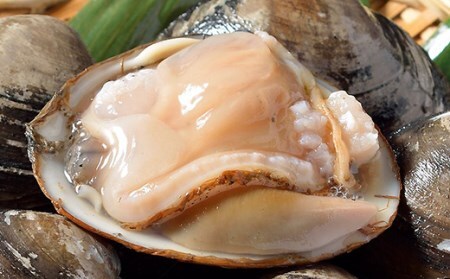  [船上]剥きほっき（刺身用）500g（10玉前後）×1袋 ほっき ほっき貝 ホッキ ホッキ貝 北寄 北寄貝 F4F-1540