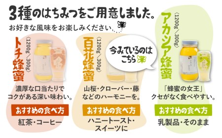 飛騨産 生蜂蜜 アカシア蜜 300g 国産無添加 はちみつ ギフト ハニー 非加熱[Q1199wx]