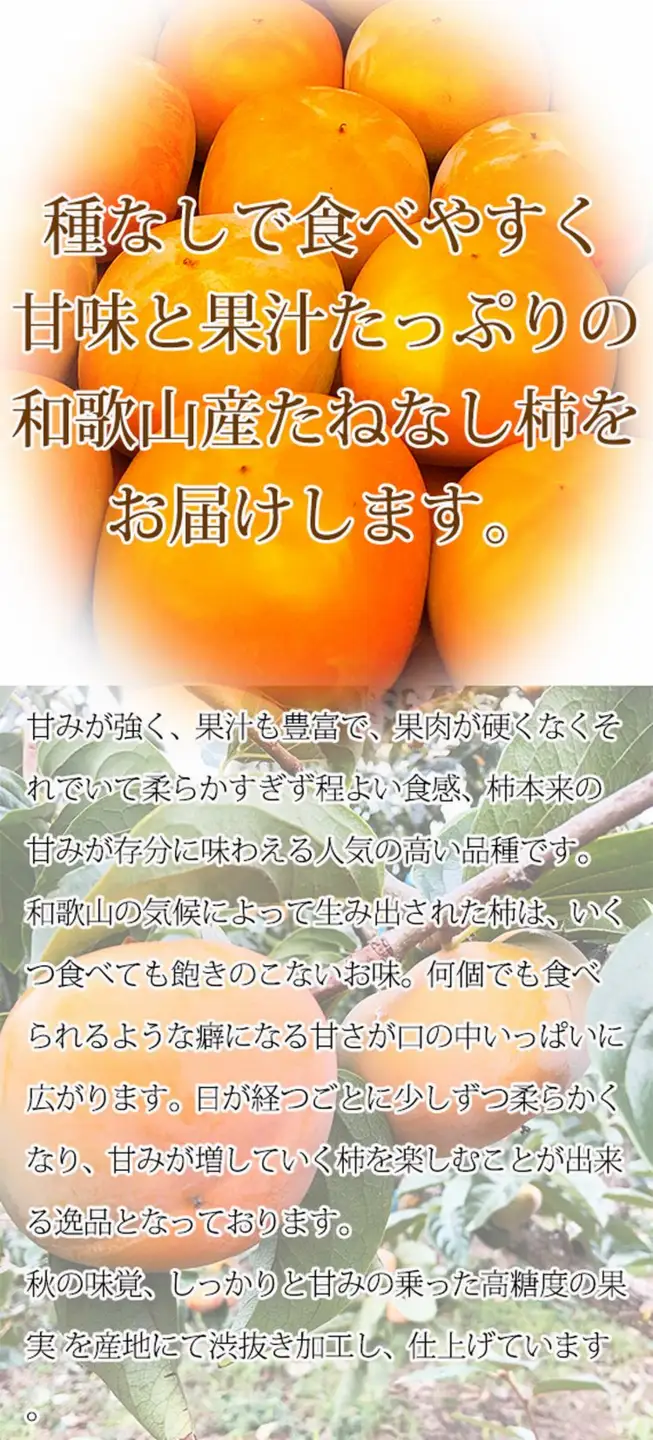 【2026年発送分予約】和歌山秋の味覚　平核無柿（ひらたねなしがき）　約7.5kg	※2026年10月上旬頃〜11月上旬頃に順次発送（お届け日指定不可）【uot700A】
