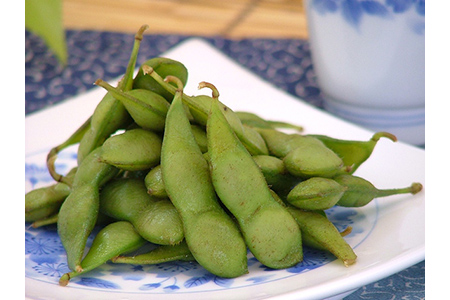 《先行予約 2026年度発送》鶴岡白山産 だだちゃ豆(早生) 2kg 豆類 豆 野菜 食品 山形県 FSY-0143