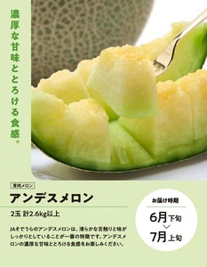 SE0503　【3回定期便】メロン好きに贈る メロンづくしの定期便2026(1) (アンデスメロン、しっかり娘、アールスメロン)