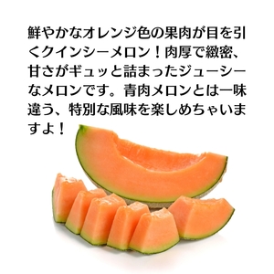 クインシー メロン（赤肉）約5kg 果物類 フルーツ メロン赤肉 