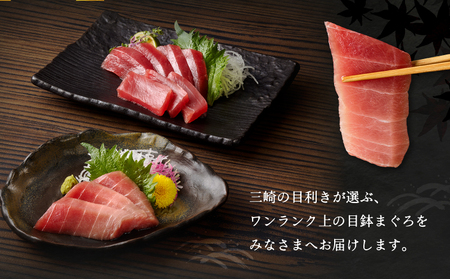 ワンランク上の天然目鉢鮪中とろ・赤身セット 750g M024-003 冷凍 マグロ