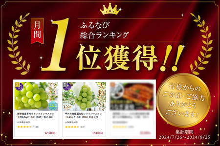 新鮮産直甲州市！シャインマスカット 約1.2kg 2～3房【2026年発送】（KSF）B12-170 シャインマスカット フルーツ