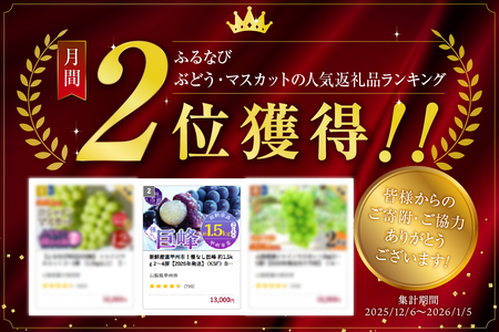 新鮮産直甲州市！種なし巨峰 約1.5kg 2～4房【2026年発送】（KSF）B12