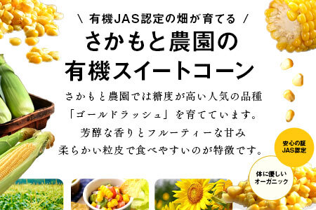 【2026年発送】朝採り有機栽培スイートコーン12本入【AV-004】