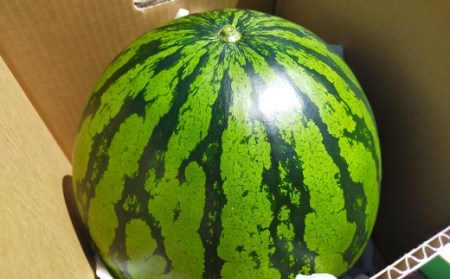 夏の至福スイカ　特L12kg～15kg【BJ-001】