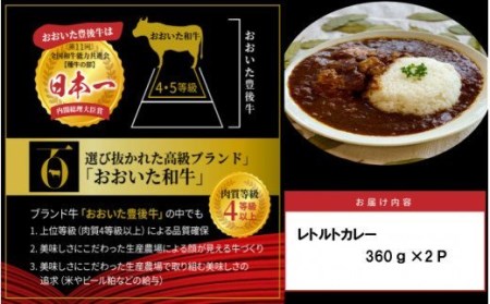 おおいた和牛の贅沢カレー 2パック_1725R