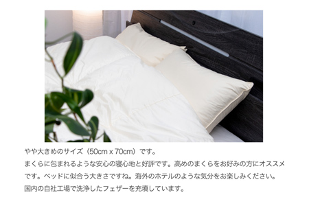 【河田フェザー使用】 ちょっと大きめ ラグジュアリー 羽根まくら （GP-1） ECOダウン フェザー 高級 まくら マクラ 枕 寝具 寝心地 品質 高級 ホテル 日本製 河田フェザー 羽毛 睡眠 清潔 AD1