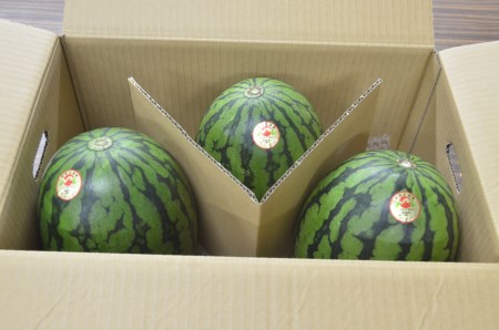 尾花沢産小玉すいか スイカ 3Lサイズ×3玉 令和8年産 ja-suk3x3