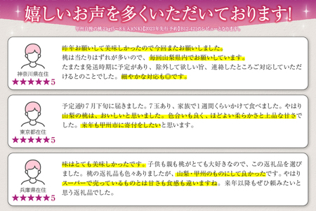 甲州自慢の桃 約2kg（5～8玉入り）【2026年発送】（NK）B12-421 桃 フルーツ