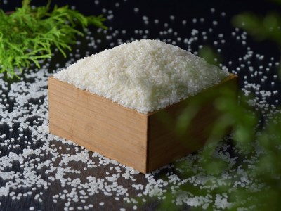 【令和5年産】毎月届く定期便！古河市産コシヒカリ5kg×6回【小久保農園】 _AS06