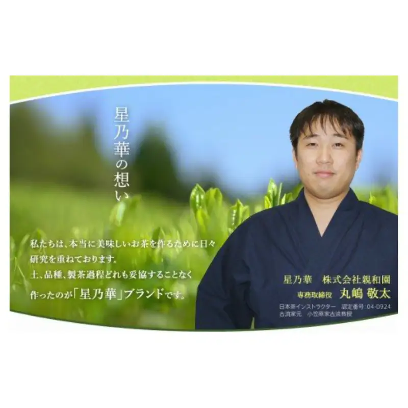 八女星野玉露ティーバッグ2.5g×100個【A5-315】