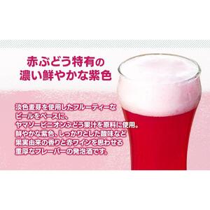 南信州地ビール『ヤマソーホップ』６本セット[ ビール ホップ ]