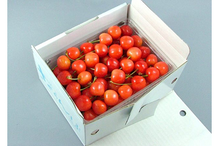 《先行予約 2026年度発送》 さくらんぼ 紅秀峰 大玉手詰め 秀品 2L 500g FSY-0141