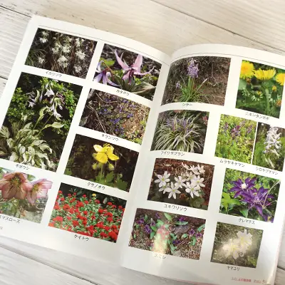 No.1148　写真集 ふくしまの桃源郷「花見山」