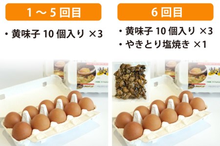 BE290【定期便】島原のたまご 黄味子Ａセット 計6回お届け [ 長崎県 島原市 ]