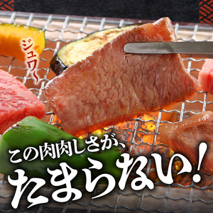 博多和牛 ロース焼肉550g_博多和牛 ロース 焼肉 550g リブロース サーロイン カタロース 赤身 サシ バランス キメ細やか ジューシー バーベキュー おうち焼肉 国産 ブランド牛 九州産 新鮮 切りたて 冷凍 牛肉 肉 牛 国産牛 お取り寄せ お取り寄せグルメ 福岡県 久留米市 送料無料 〔Ab012〕