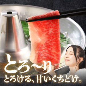 博多和牛 ロースすきしゃぶ550g_博多和牛 ロース すきしゃぶ 550g リブロース サーロイン カタロース 赤身 サシ バランス キメ細やか 美しい 美味しい とろける 食感 やわらか ジューシー すき焼き しゃぶしゃぶ 牛肉 和牛 食品 お取り寄せ お取り寄せグルメ 福岡県 久留米市 送料無料 〔Ab016〕